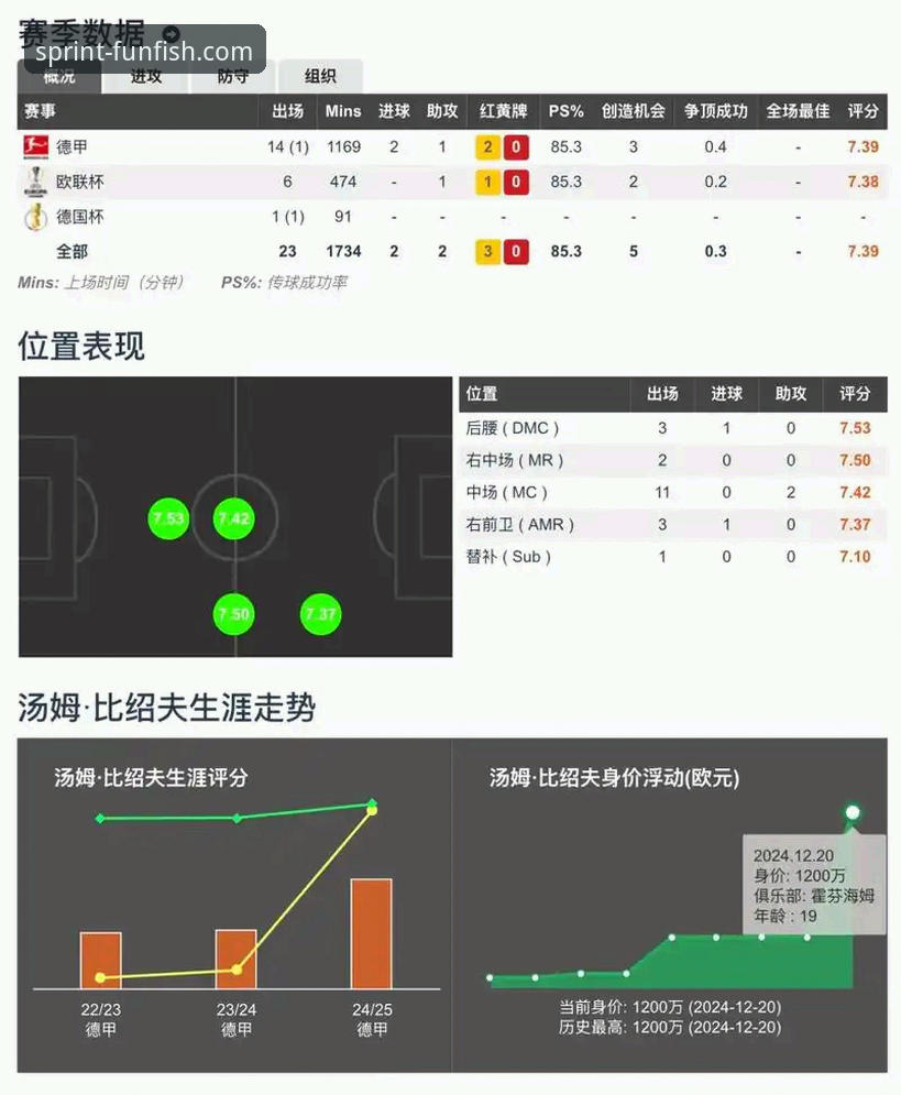 乐鱼体育分析推荐对比：专业视角下的平台优劣势深度剖析